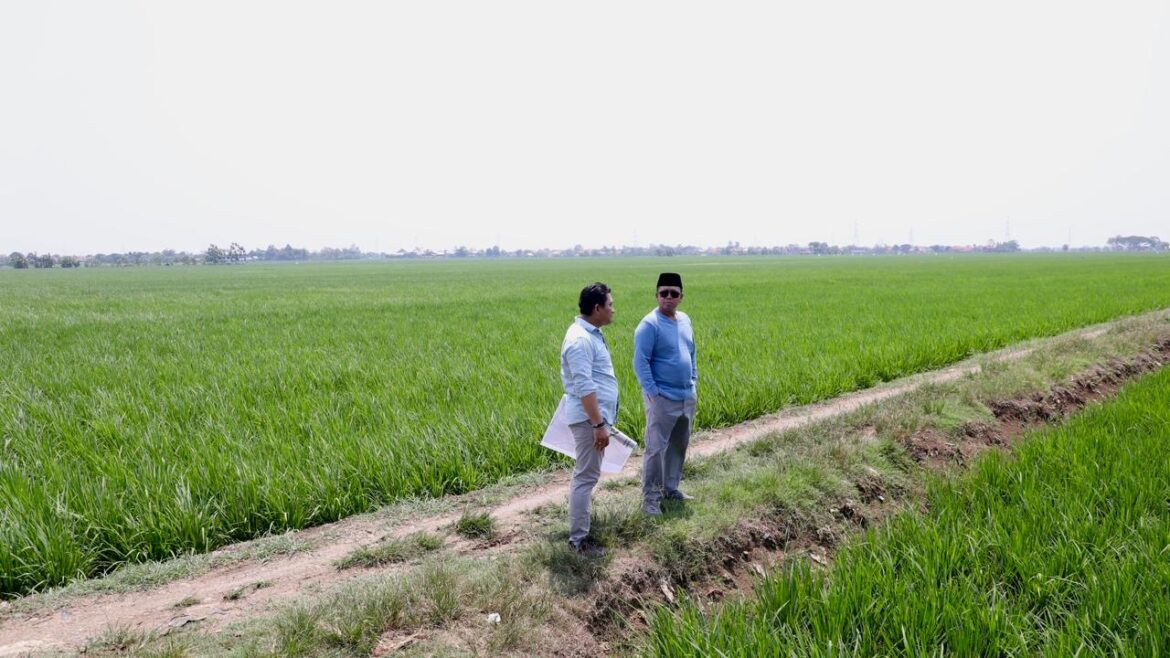 Tinjau Kawasan Industri di Indramayu, Menteri Nusron Pastikan Lahan Tidak Masuk ke LSD