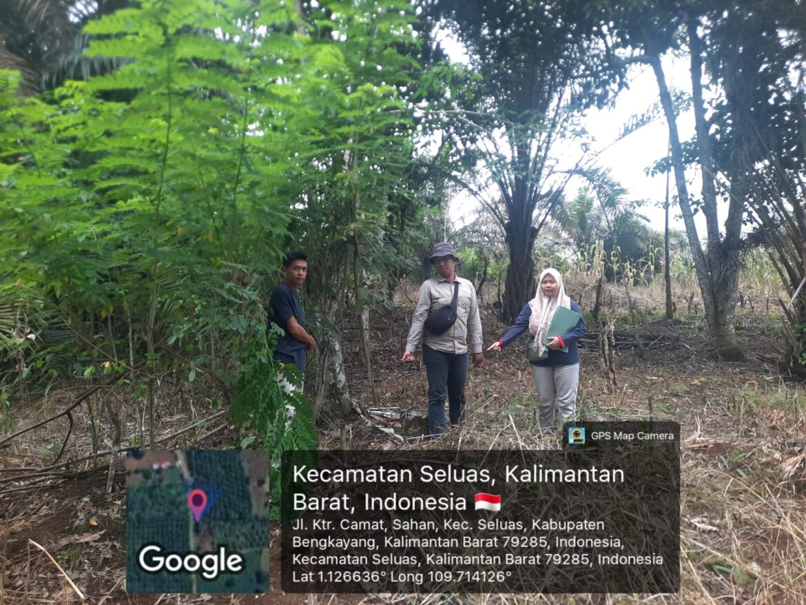 Kantor Pertanahan Kabupaten Bengkayang Laksanakan Pemeriksaan Lapang Panitia A untuk Permohonan Hak Milik Perorangan di Desa Sahan